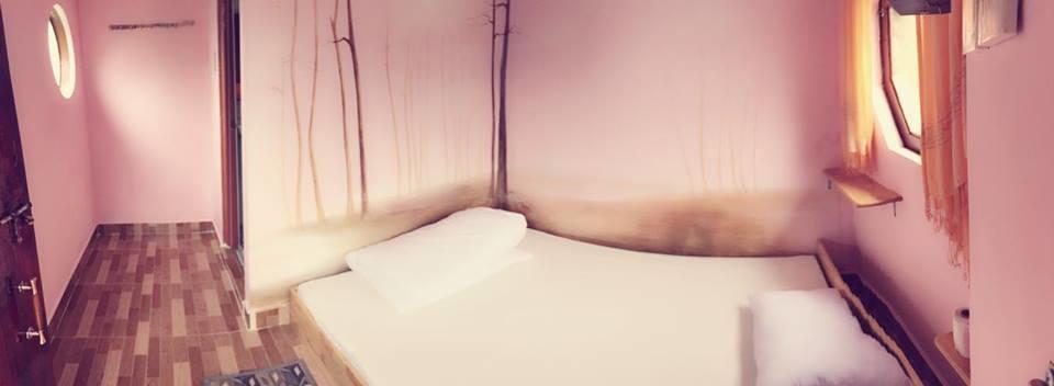 Homestay Nang Xanh 大叻 外观 照片