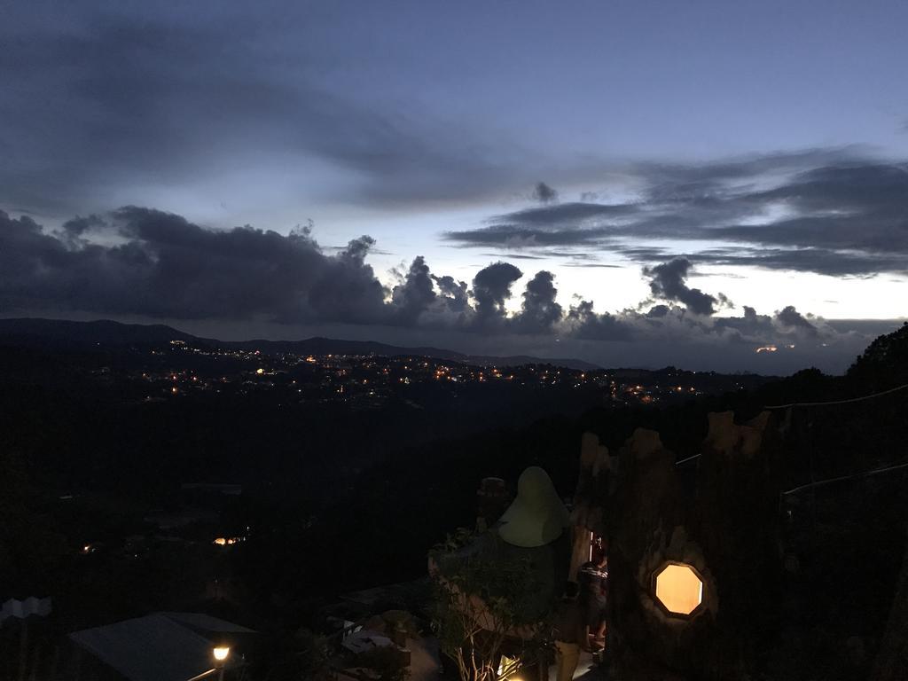 Homestay Nang Xanh 大叻 外观 照片